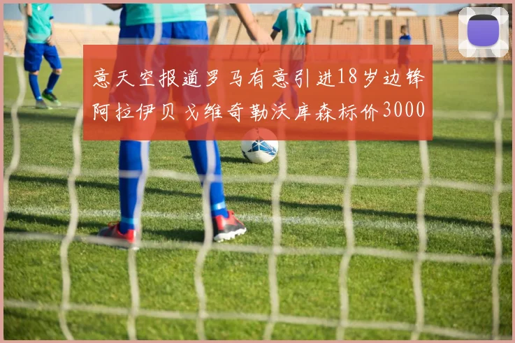 意天空报道罗马有意引进18岁边锋阿拉伊贝戈维奇勒沃库森标价3000万欧元