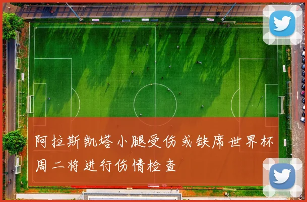 阿拉斯凯塔小腿受伤或缺席世界杯周二将进行伤情检查