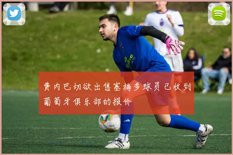 费内巴切欲出售塞梅多球员已收到葡萄牙俱乐部的报价
